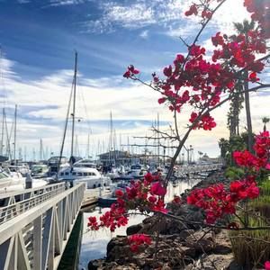 Meet your Posher, Irma